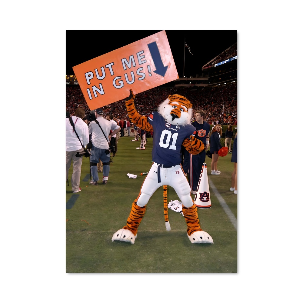 Poster Auburn de tigers